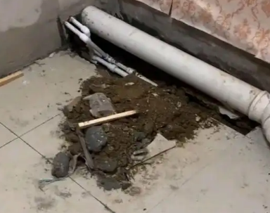 安乡卫生间漏水检测哪家好